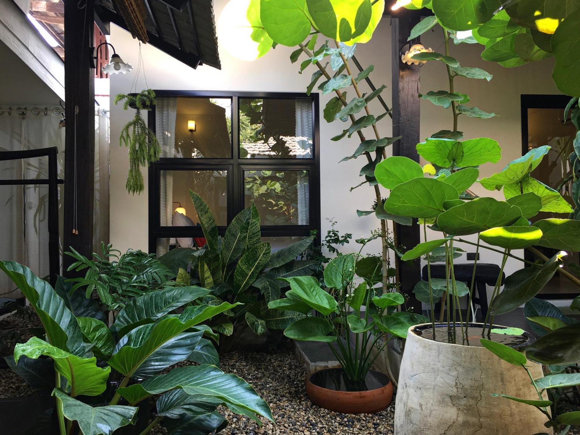 Su Kho Rom Always Home ศุโขรมย์ - Adults Only Chiang Mai Ngoại thất bức ảnh